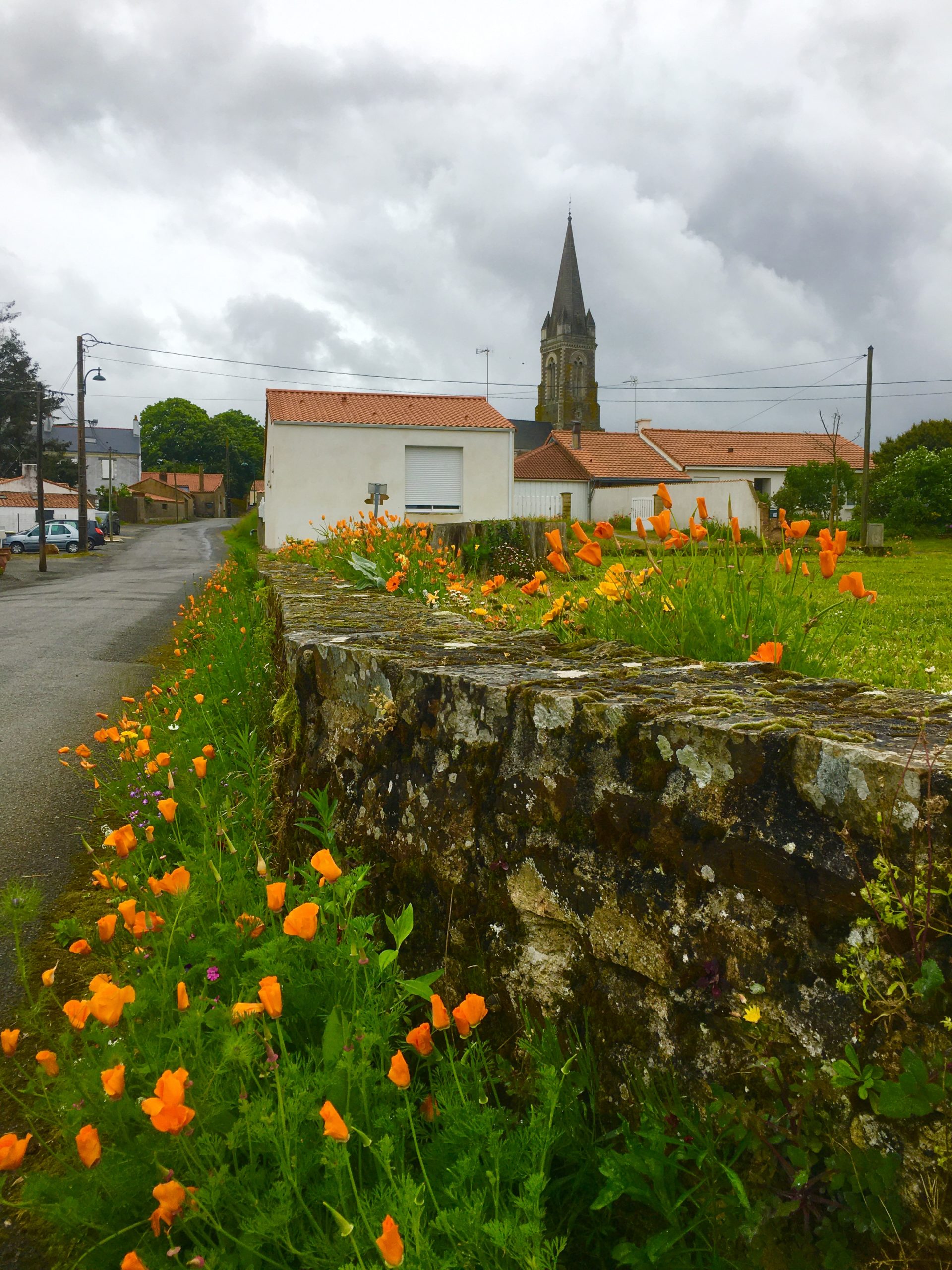 Qui Fera Une Fleur Notre Belle Commune Le Point De Vue De La Cigogne Qui Fera Une Fleur Notre Belle Commune Le Point De Vue De La Cigogne